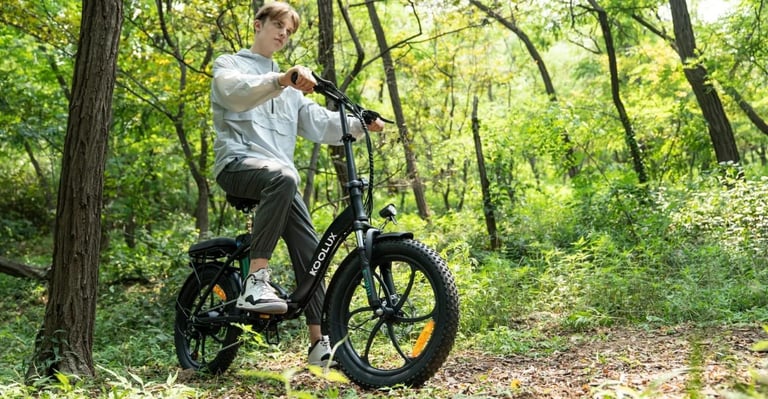 Bk6s Bike electric for sale now order 