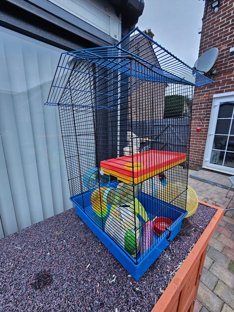Reduced Hamster cage with many accessories