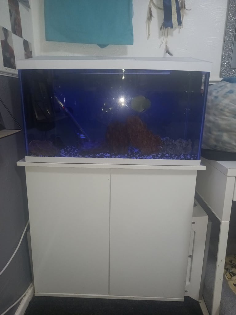 image for 105l Fish tank with accessories