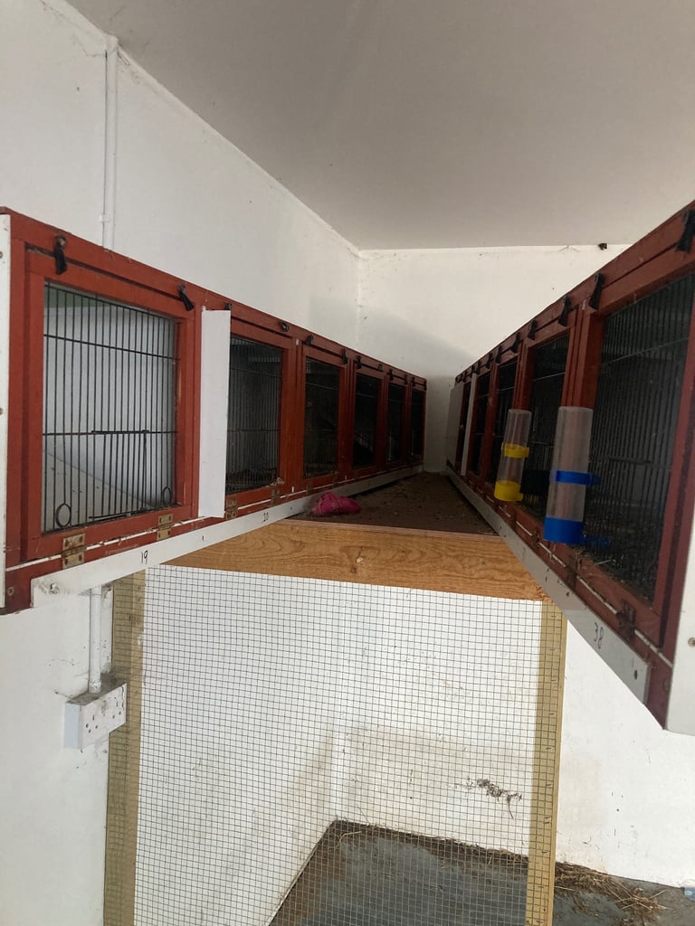 image for Small bird breeding cages