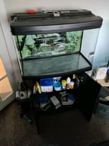 Full aquarium set up