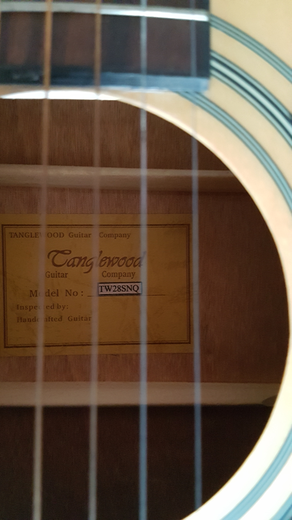 Tanglewood Guitar & Hard Case