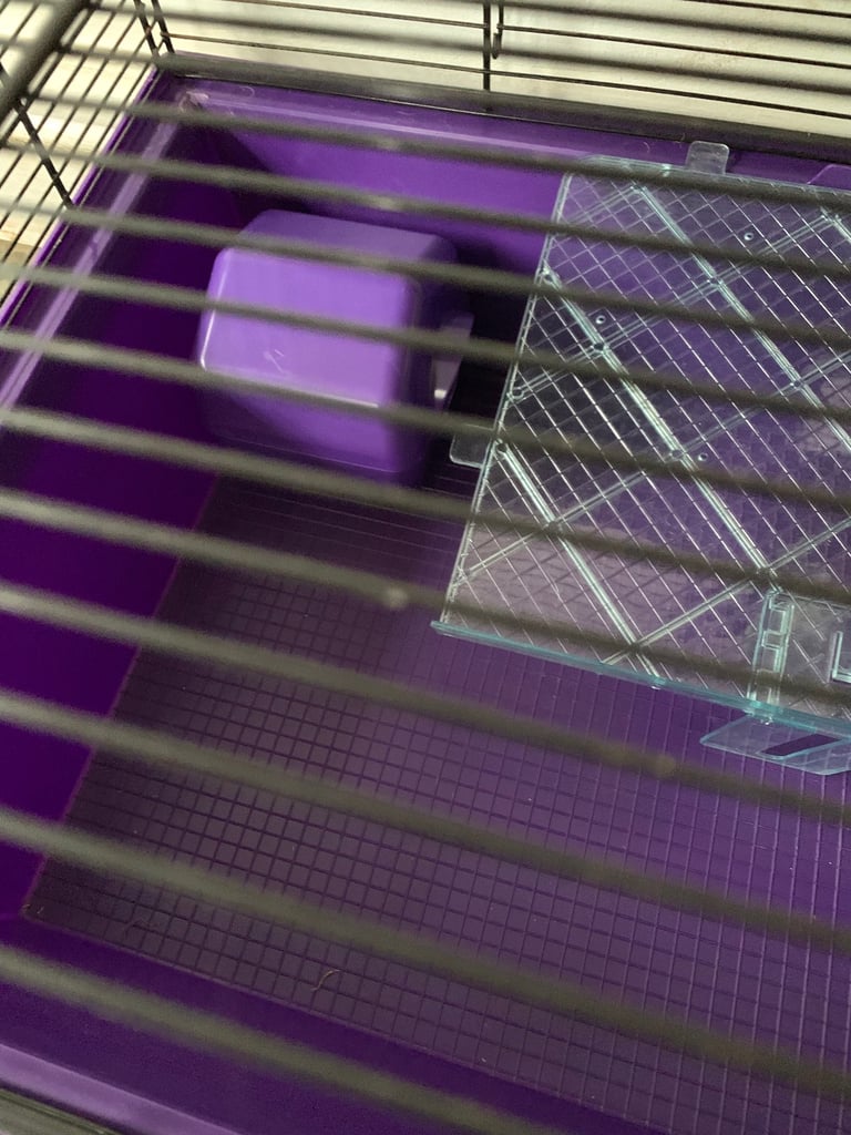 Mouse/hamster/rodent cage including accessories