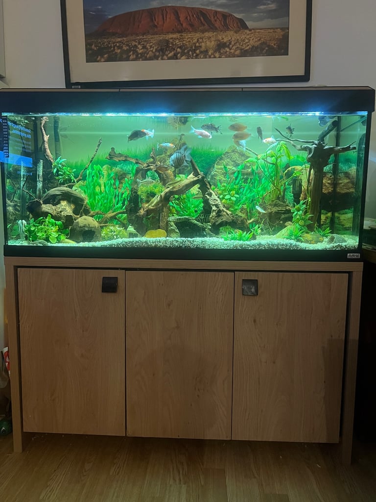 240 fish tank
