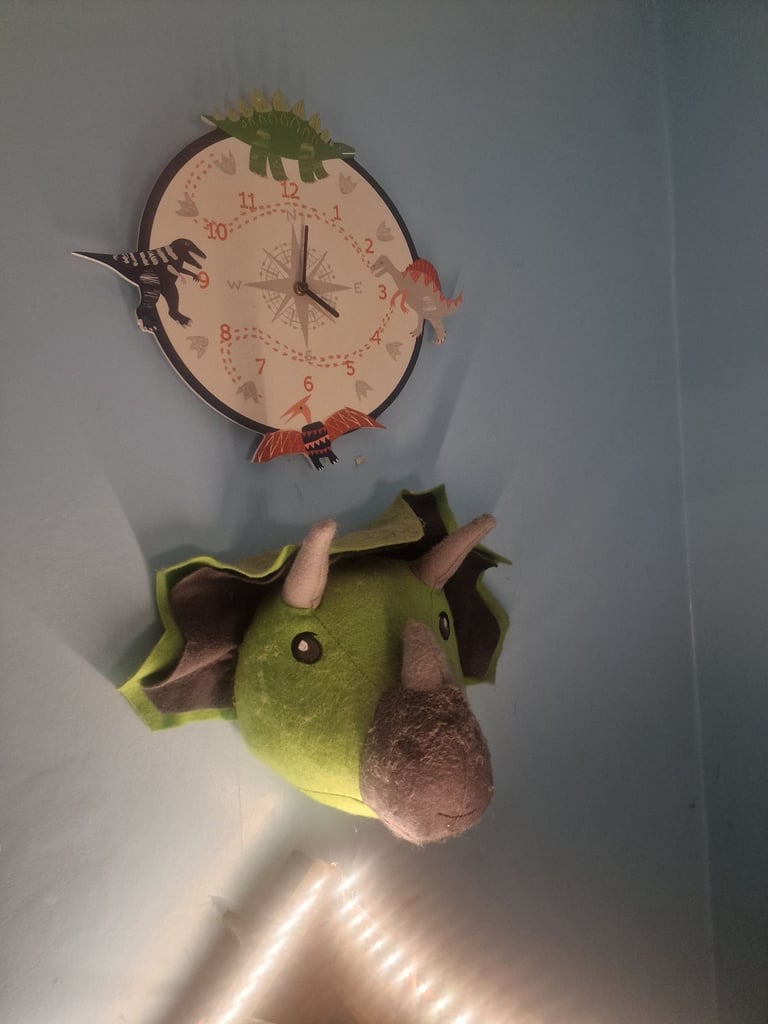 image for Dinosaur bedroom accessories 