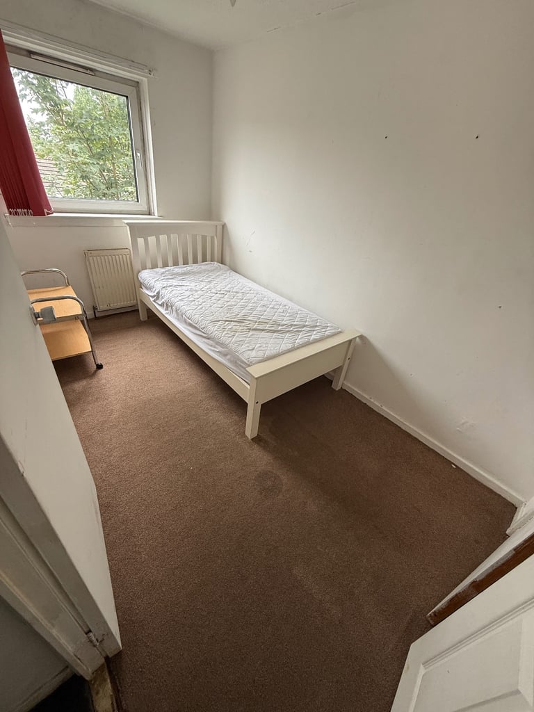 Single room to rent