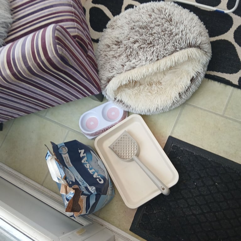 Bundle of cat / kitten items - some new.