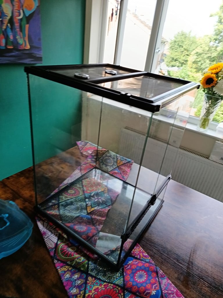 Exo terra terrarium 