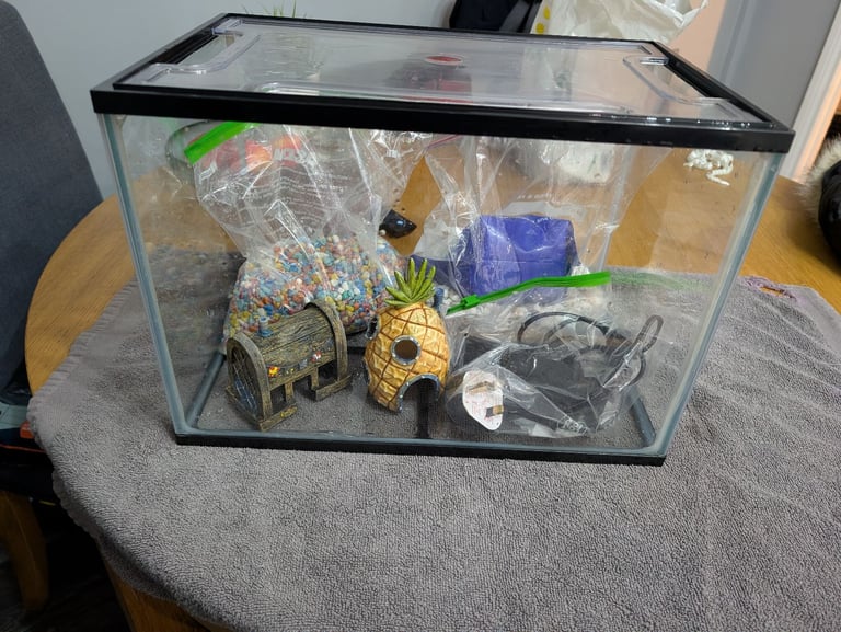 Fish tank with pump and ornaments 