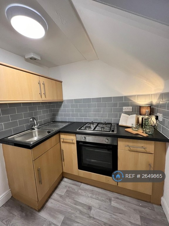 1 bedroom flat in Argyle Street, Sunderland, SR2 (1 bed) (#2649865)