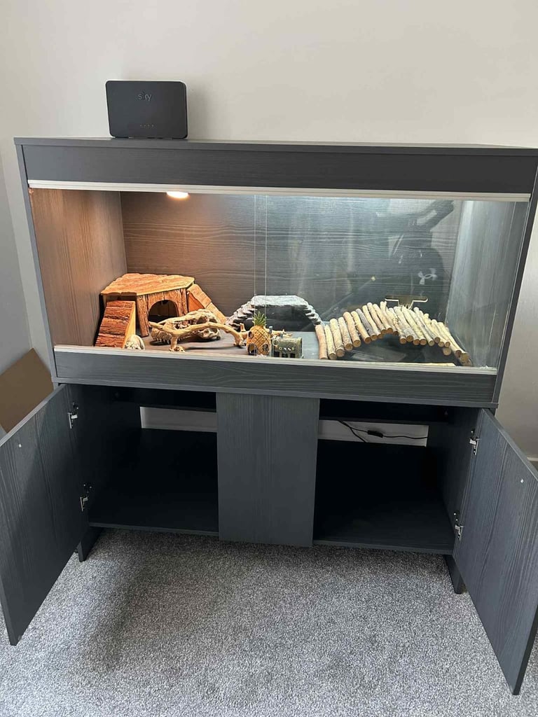 Bearded Dragon Vivarium and accessories 
