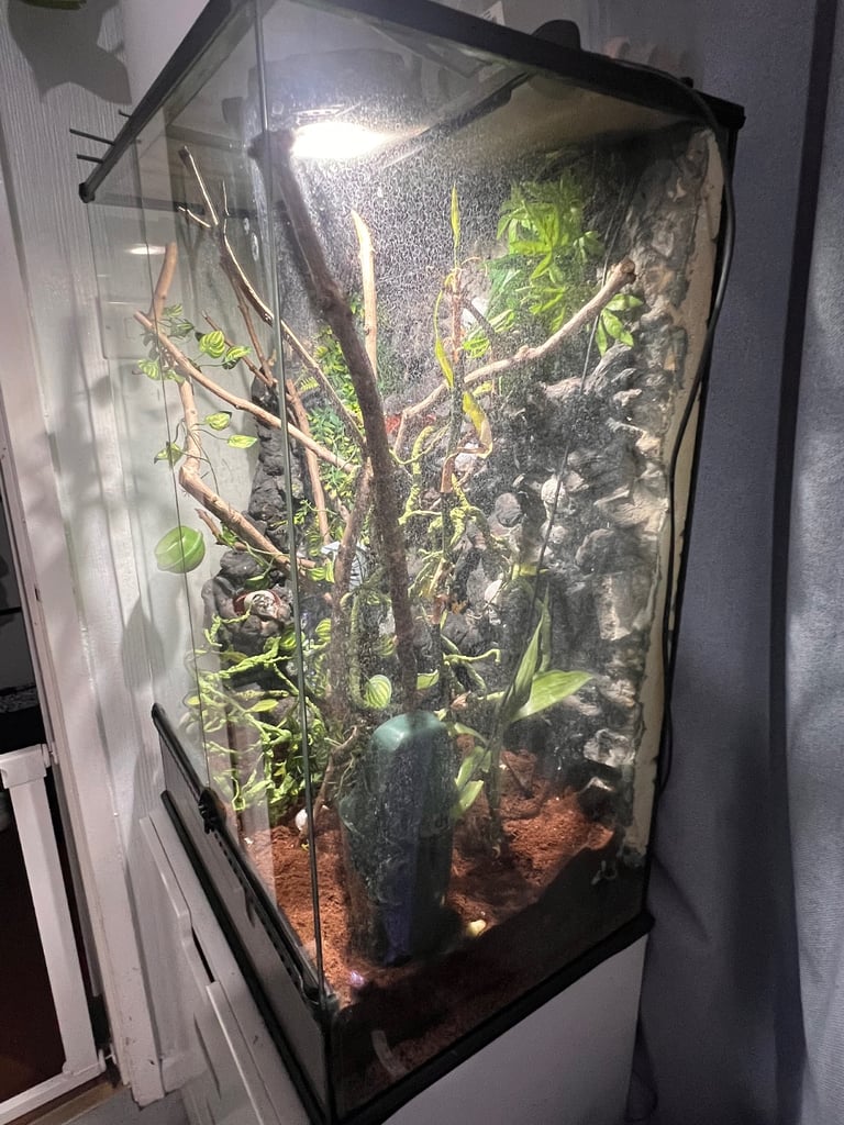 Exo Terra Glass Reptile Terrarium