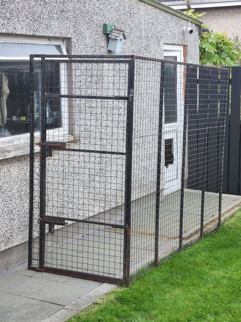 Metal Dog Run