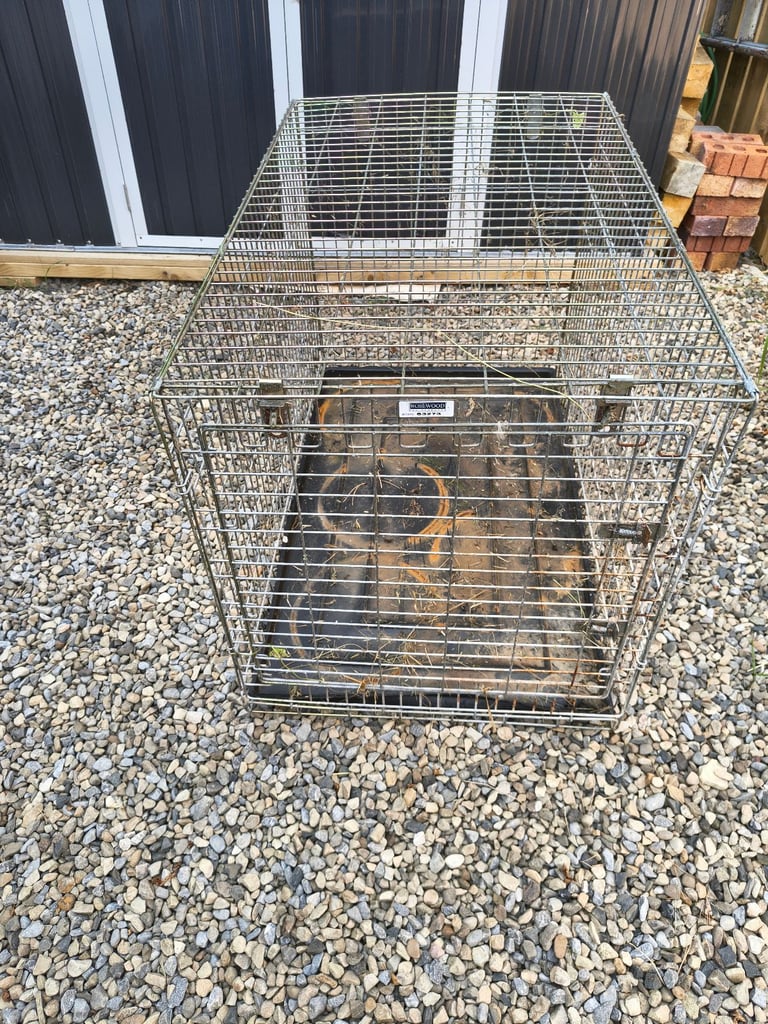 Dog cage