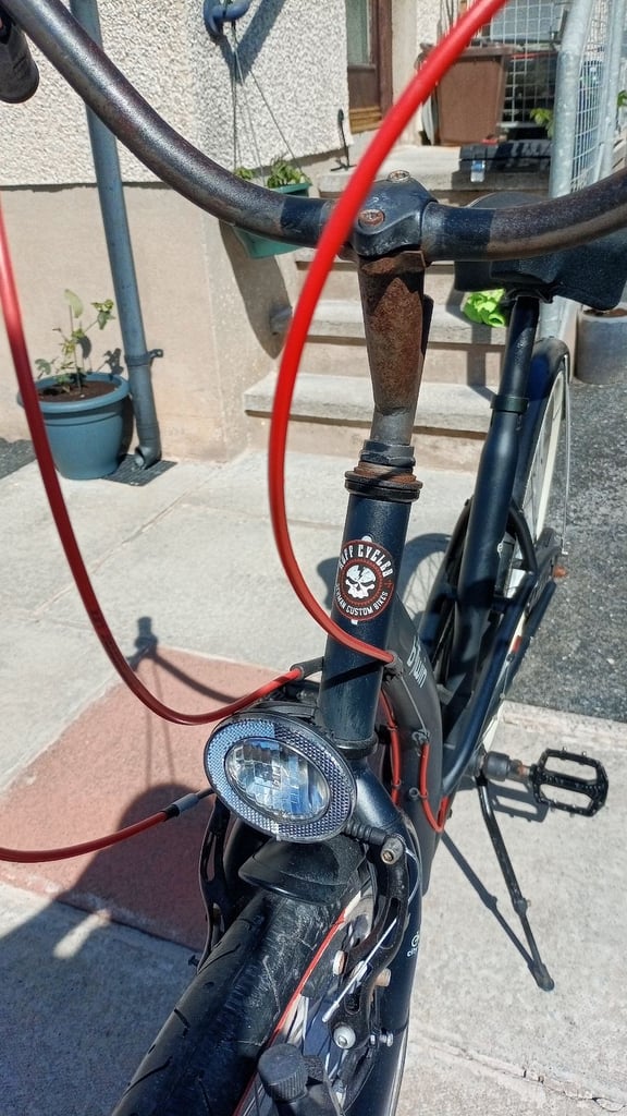 Custom Shopper Bicycle 