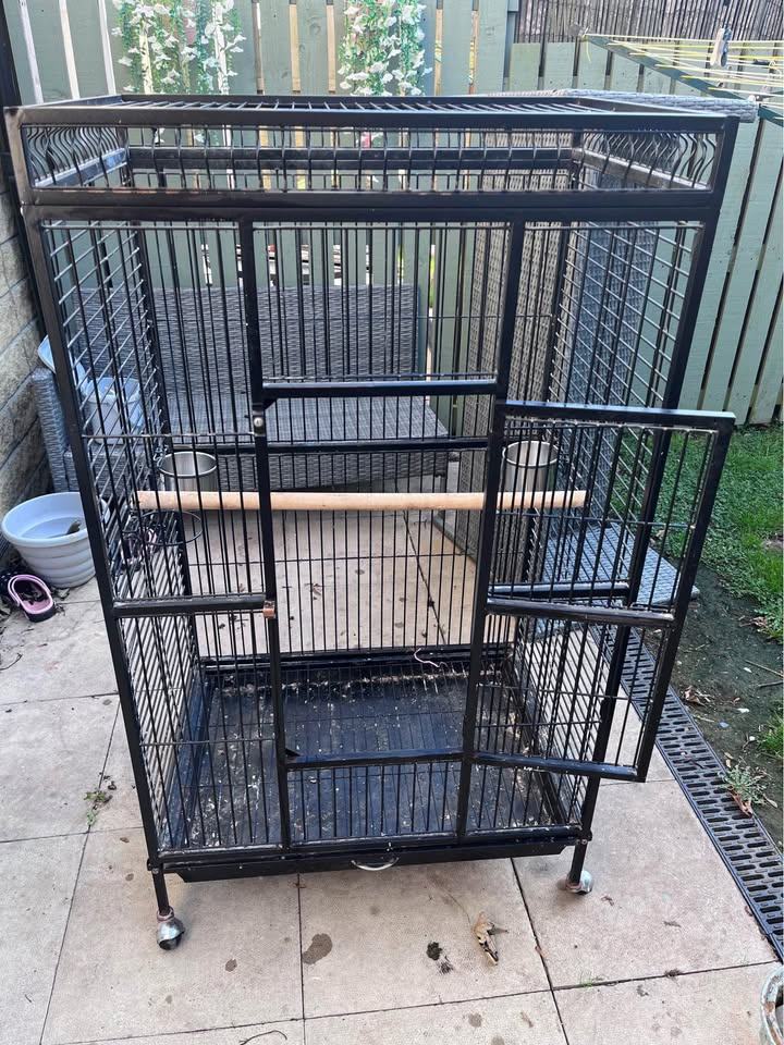 Large parrot cage