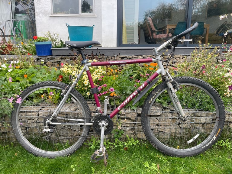 Men’s Carrera Bike