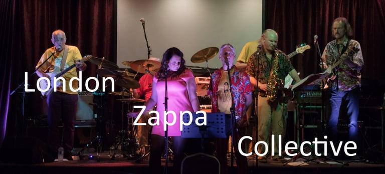 Bass player wanted by London Zappa Collective.