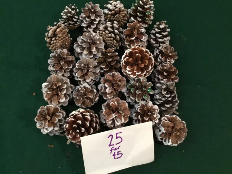 image for Fir cones