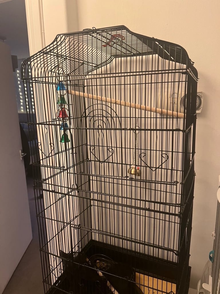 Tall bird cage 