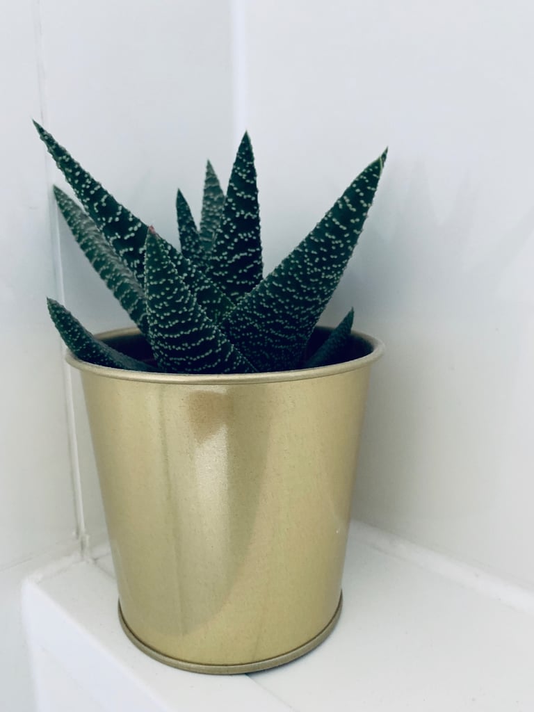 1 Bedroom Apartment for a WEEKLY or MONTHLY rent at G5,5 min to city center.Wifi,Parking FREE