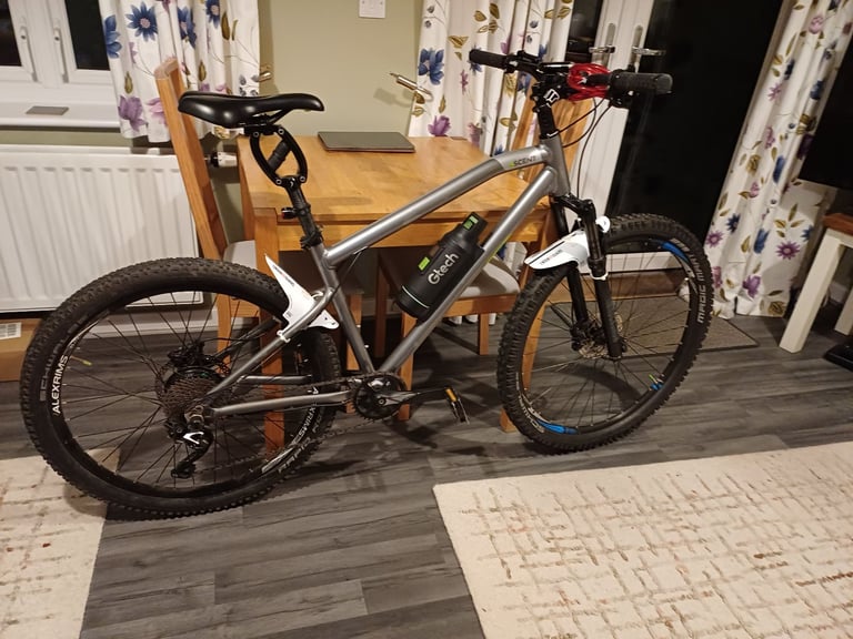 Electric bike