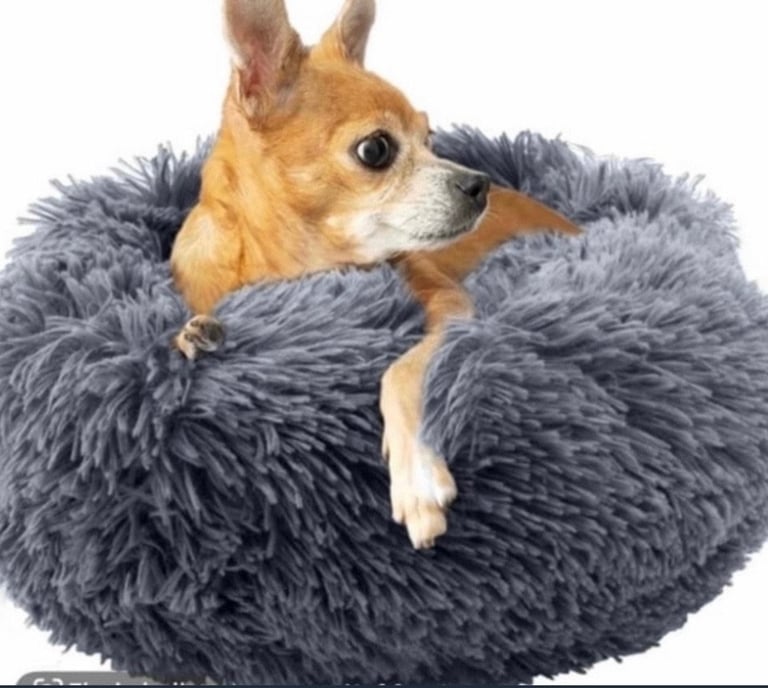Brand new pet bed 