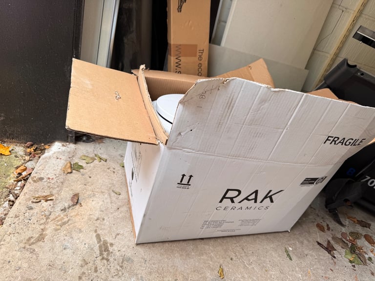 Rak back to wall toilet 