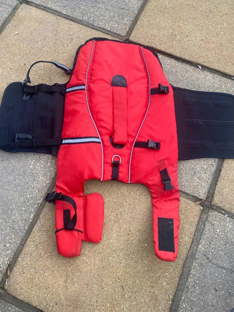 Dog life jacket (used once)