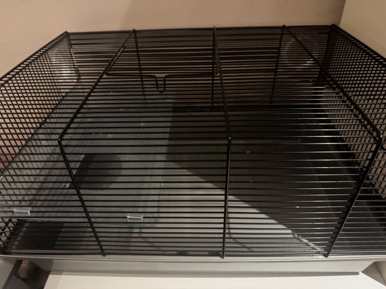 Complete Syrian Hamster Set 