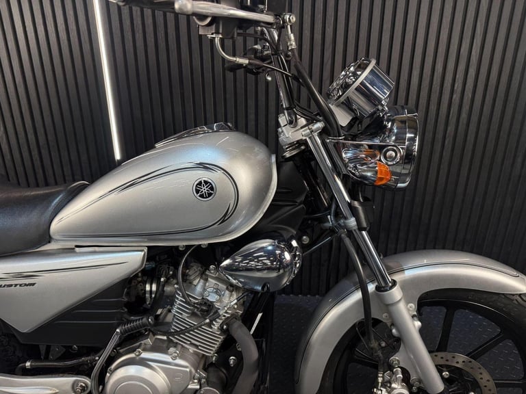 2015 Yamaha YBR125 Custom 125