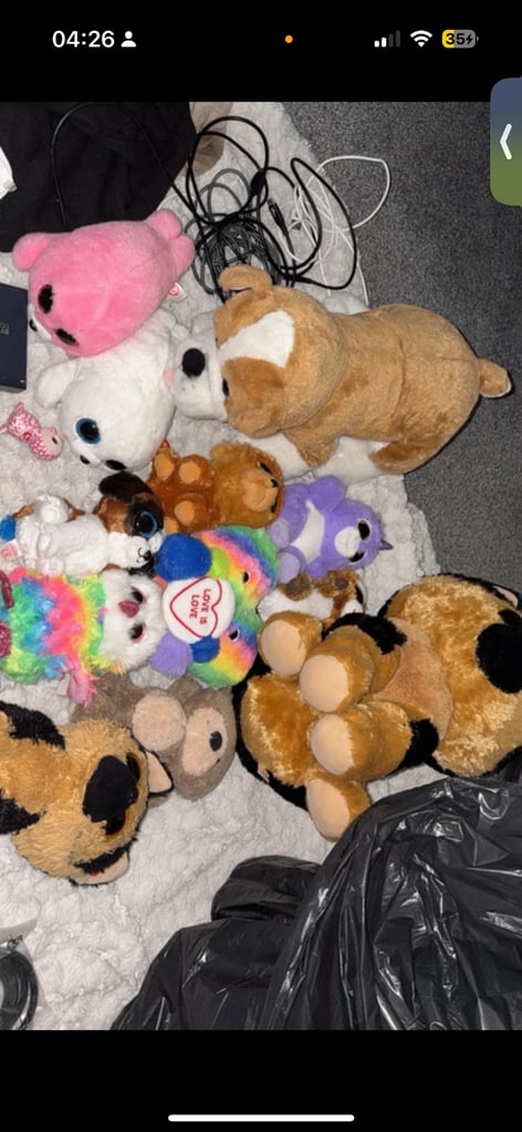 image for Ty toy collection 