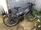 LADY&#039;S MOUNTAIN BIKE EXCEL STARBURST.