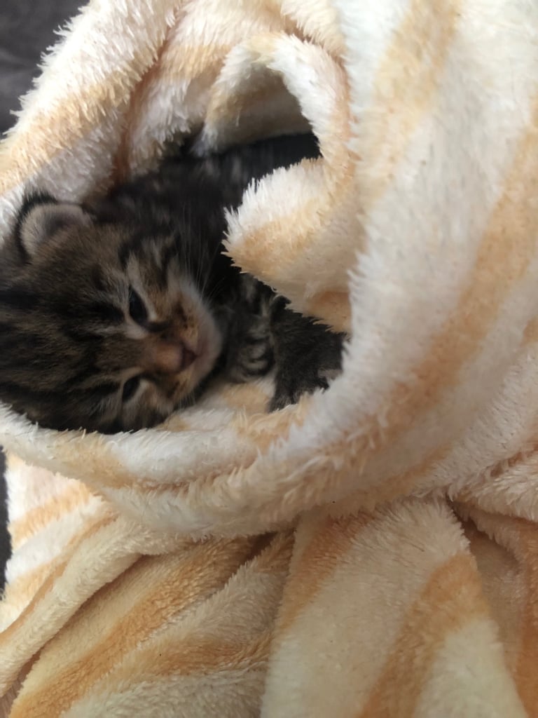 Ready to leave now !!!!!