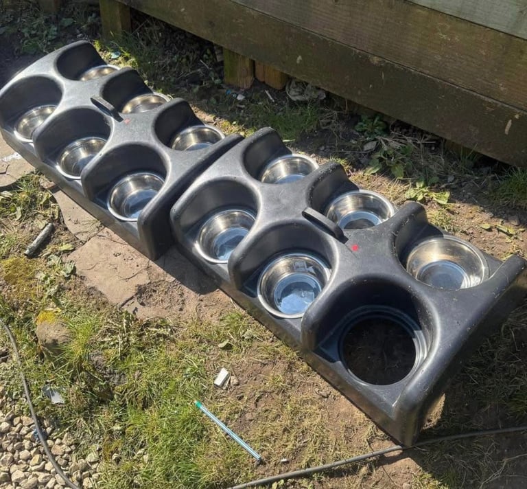 Puppy feeding stations 