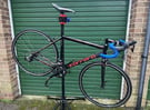 Road bike (medium) Carrera Virtuoso