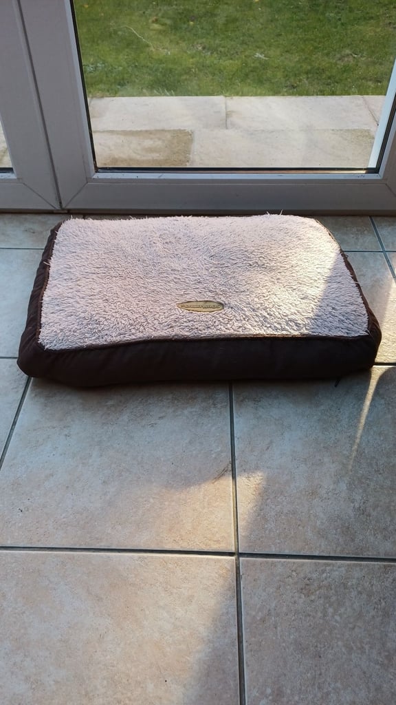 Cat beds, caves, blankets, grooming, scratch posts,litter tray