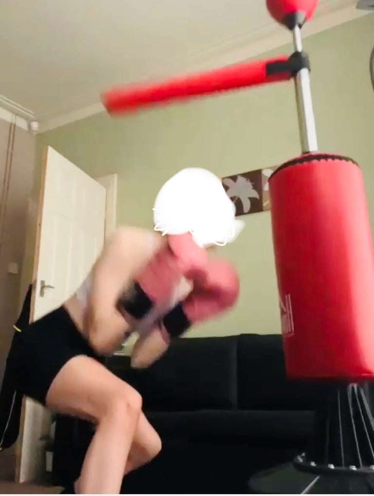 Boxing Punching Bag