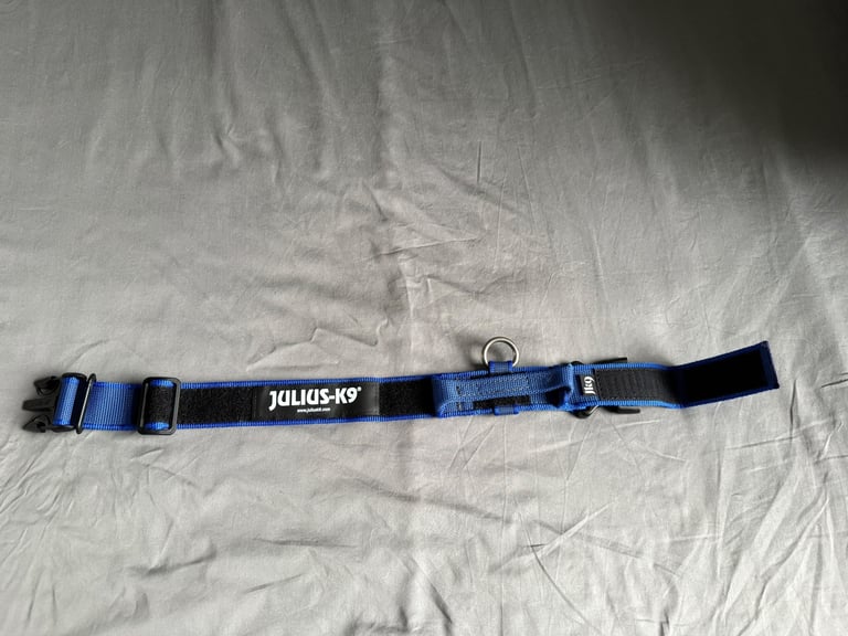 Julius-K9 dog collar