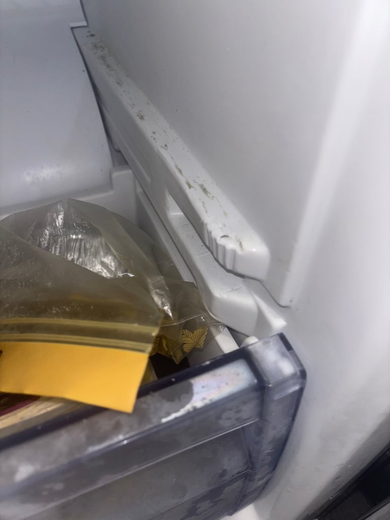 Fridge freezer 