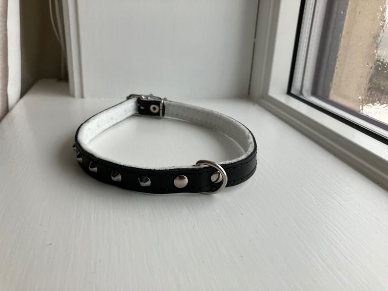 image for Leather puppy collar- punk accessories 