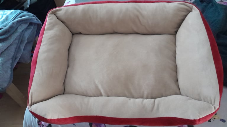 FREE small dog bed