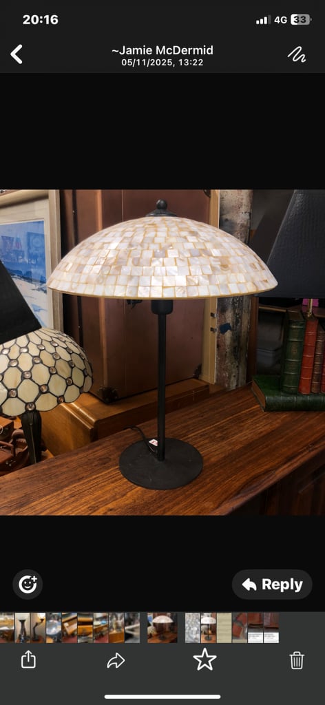 Genuine sea shell lamp 