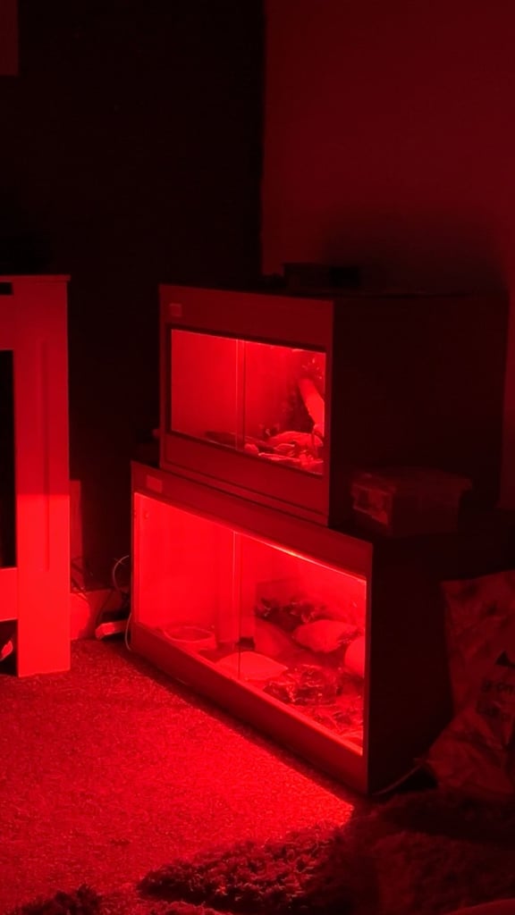 image for 2ft vivarium with add ons 