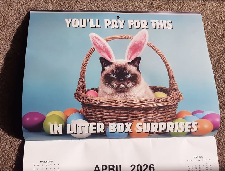 Humorous cat calendar for 2026 - nice large by Month size