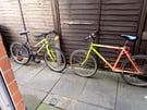 Bikes ready to go 