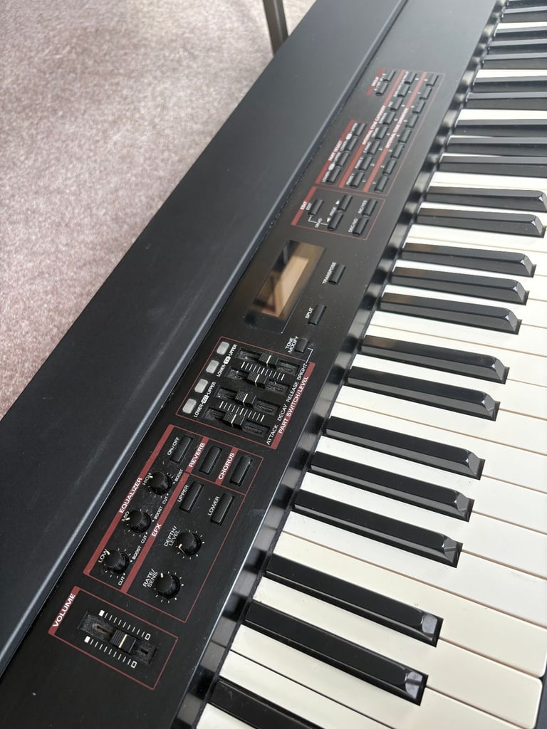 Roland RD-600 Digital Piano with Peavey Rage 158 Transtube Series Amplifier