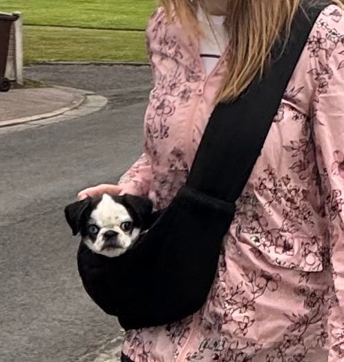 Puppy Carry Sling Carrier Cat Manchester