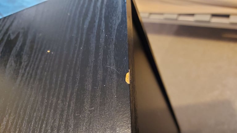 Vintage Jamo D260 speakers Patcham @ withdean park