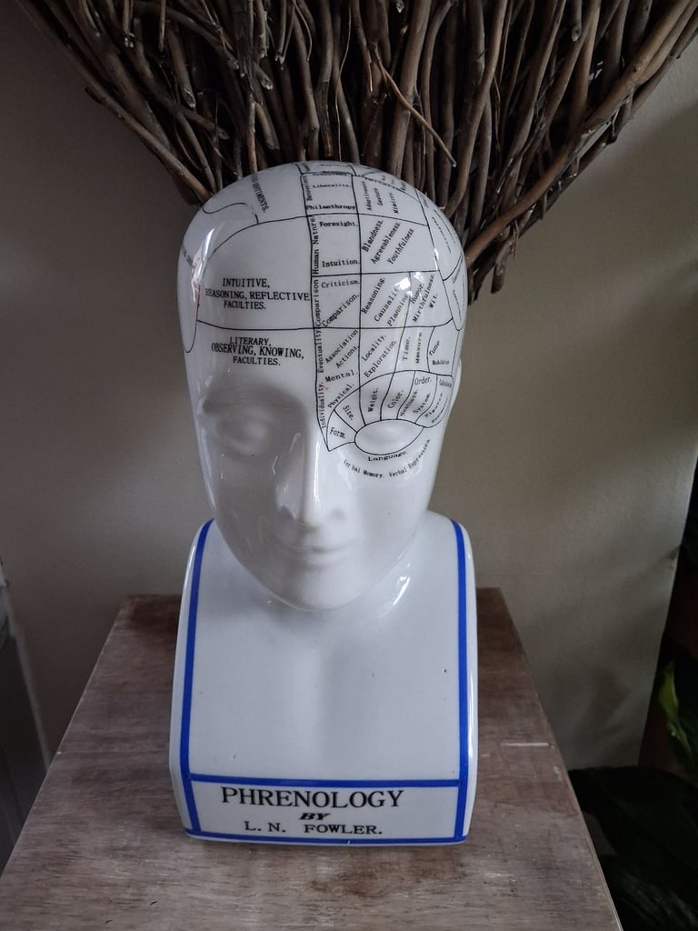 Phrenology head ornament 